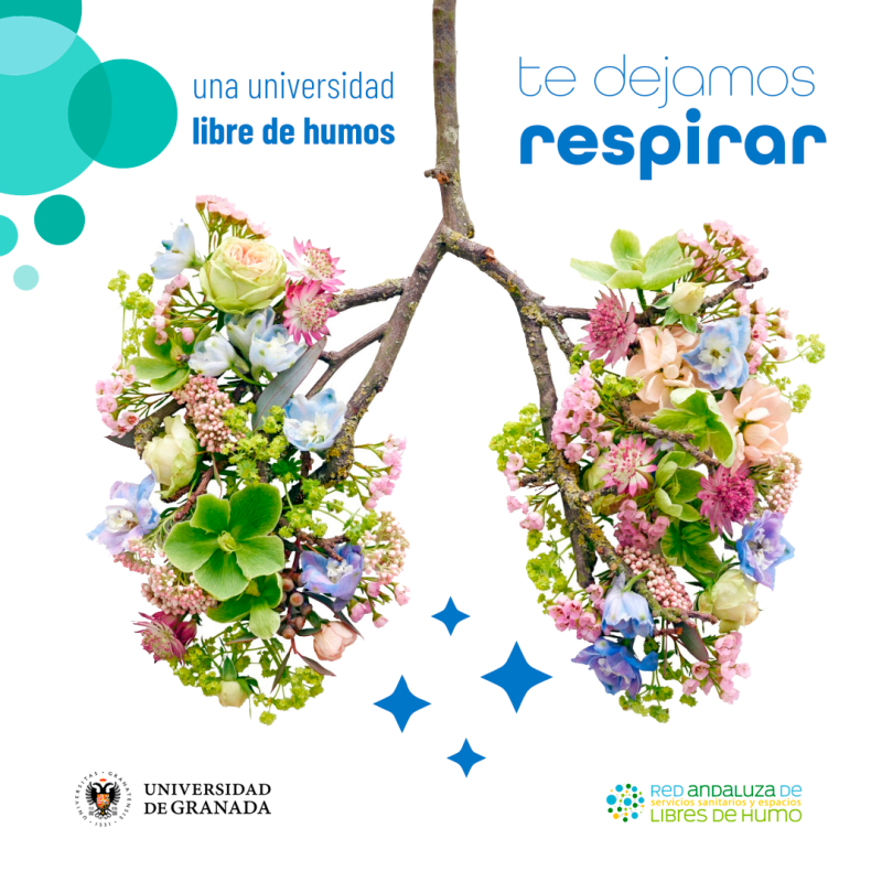Día Mundial sin Tabaco Día Mundial sin Tabaco