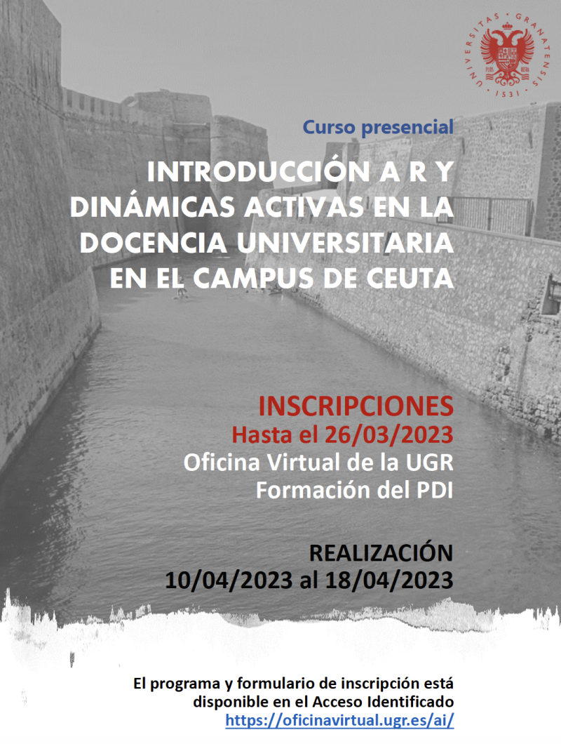 Formación para el PDI Formación para el PDI